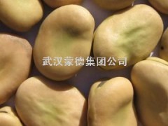 求购绿豆玉米大豆高梁豌豆蚕豆图1