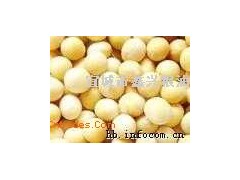 鑫兴粮油现金收购大豆图1