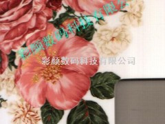 七彩家具贴花纸