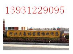 刺槐图1