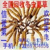 北京回收冬虫夏草13269704656海参燕窝