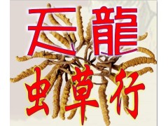 常年回收冬虫夏草13391528510常年高价回收冬虫夏草图1