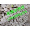 ɫPTFE++110PTFE++PTFE