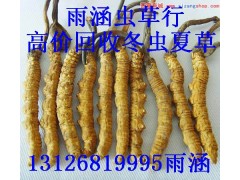 滨州回收冬虫夏草·宁波回收冬虫夏草·鹰潭回收冬虫夏草·图1